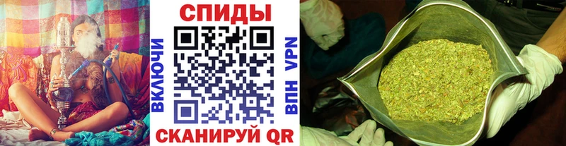 Бутират буратино  Ильский 