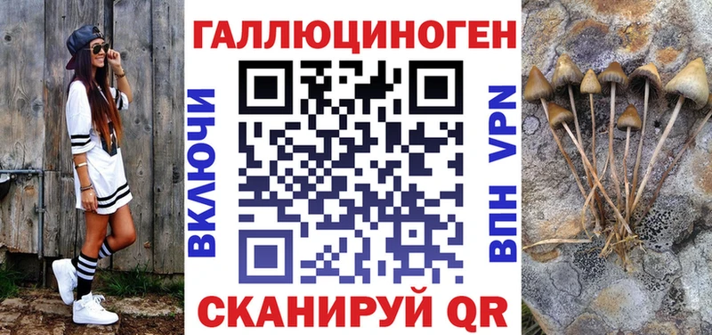 блэк спрут зеркало Ильский Галлюциногенные грибы Cubensis где можно купить наркотик